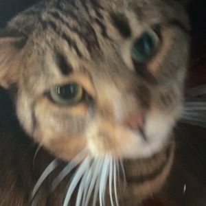 Meet your Posher, Ari